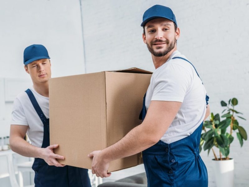 professionals movers